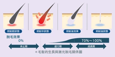 脫毛&治療毛周損害及臨床解決方案